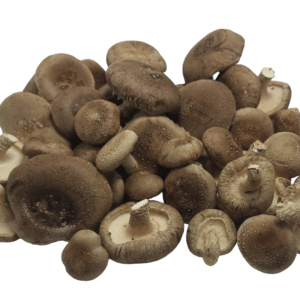 Švieži Shiitake (Šitake) grybai (Lt. Valgomasis dantenis / Lot. lentinula edodes)