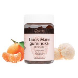 Guminukai su Lion's mane grybų ekstraktu 10:1 (Lt. Liūto karčiai / Lot. Hericium erinaceus) - Maisto papildas