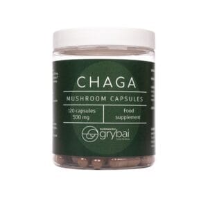 Chaga grybų miltelių kapsulės (Lt. Įžulnusis skylenis / Ang. Chaga mushroom / Lot. Inonotus obliquus) - Maisto papildas
