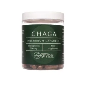 Chaga grybų miltelių kapsulės (Lt. Įžulnusis skylenis / Ang. Chaga mushroom / Lot. Inonotus obliquus) - Maisto papildas